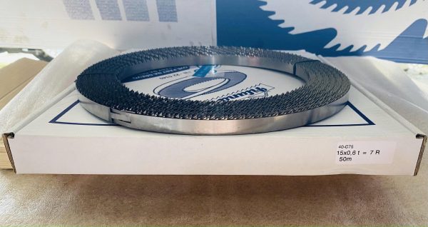 Lưỡi cưa vòng cắt gỗ PILANA 10x0.6 t=6R - Ảnh 2